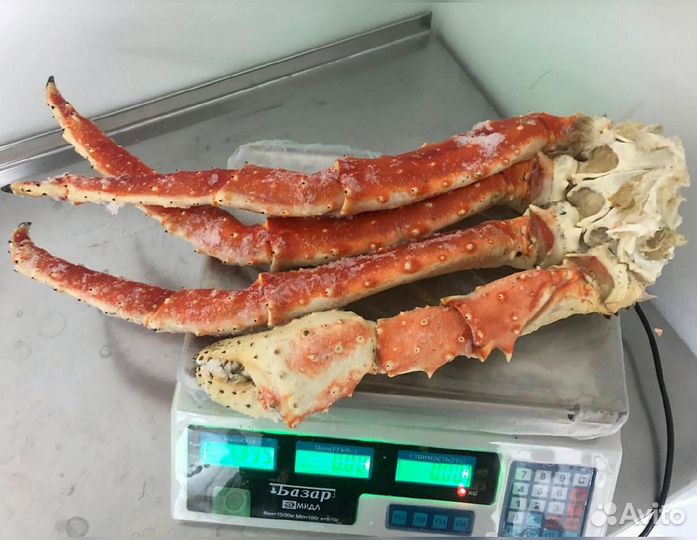 Клешни камчатского краба