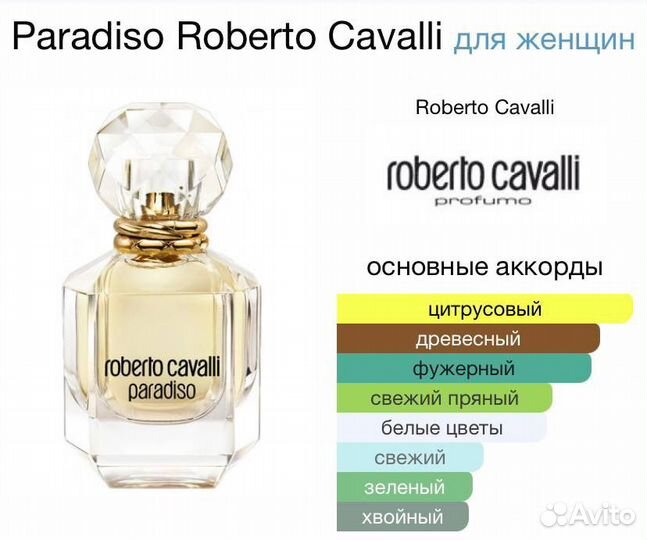 Roberto Cavalli paradiso