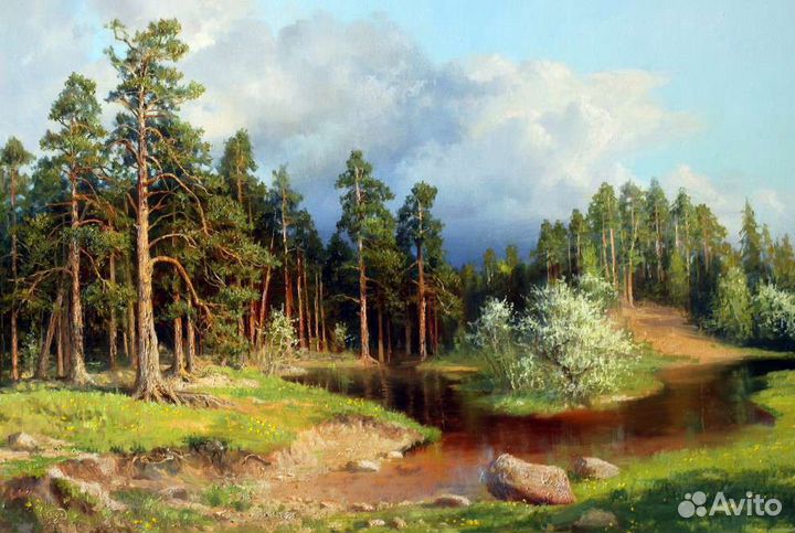 Река в сосновом бору