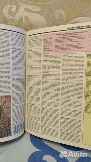 Книга рекордов Гиннесса