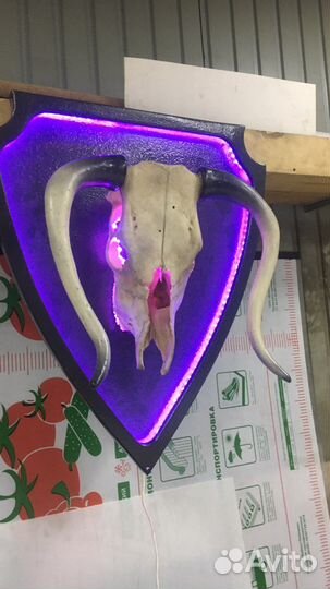 Светильник настенный светодиодный