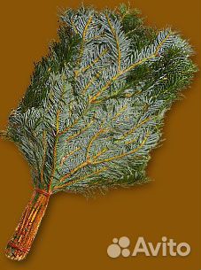 Веники берёзовые, пихтовые, дубовые, бамбуковые