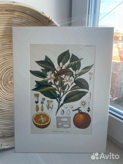 Постеры 30/40см новые