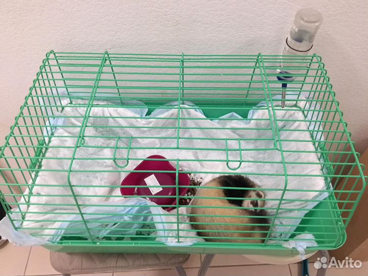 Клетка для кролика морской свинки
