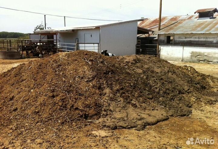 Навоз перегной