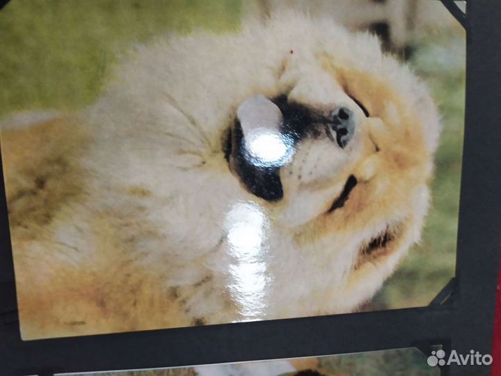 Коллекция открыток гдр 