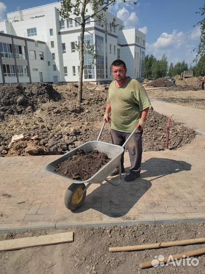 Рабочие на копку. Благоустройство участка