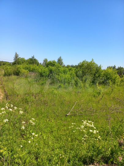 Участок 11 сот. (ИЖС)