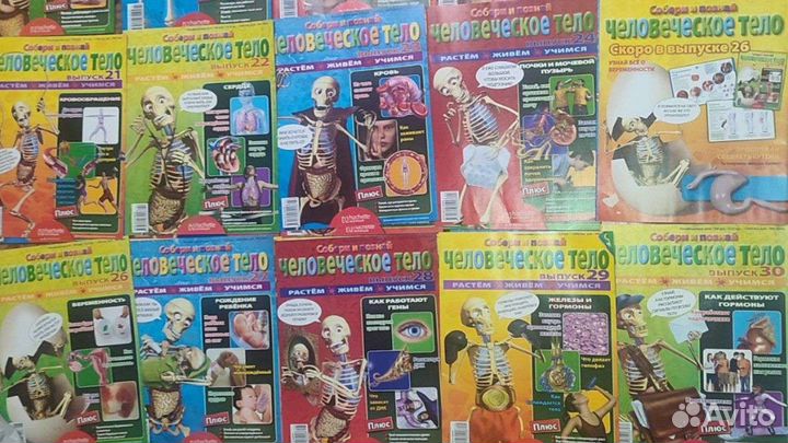 Журнал скелет артём