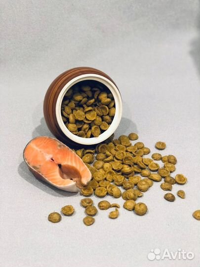 Котогава корм для собак