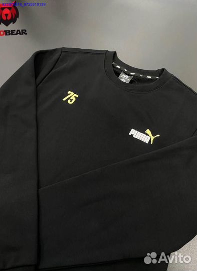 Свитшоты Nike, Adidas, Puma (Арт.57647)