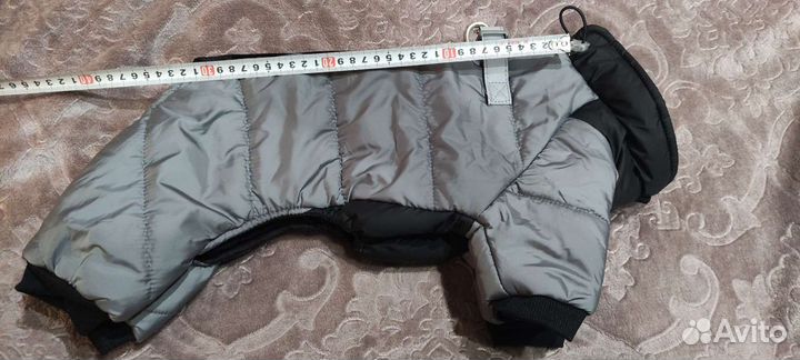 Одежда для маленьких собак