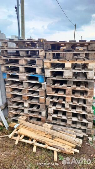 Продам поддоны