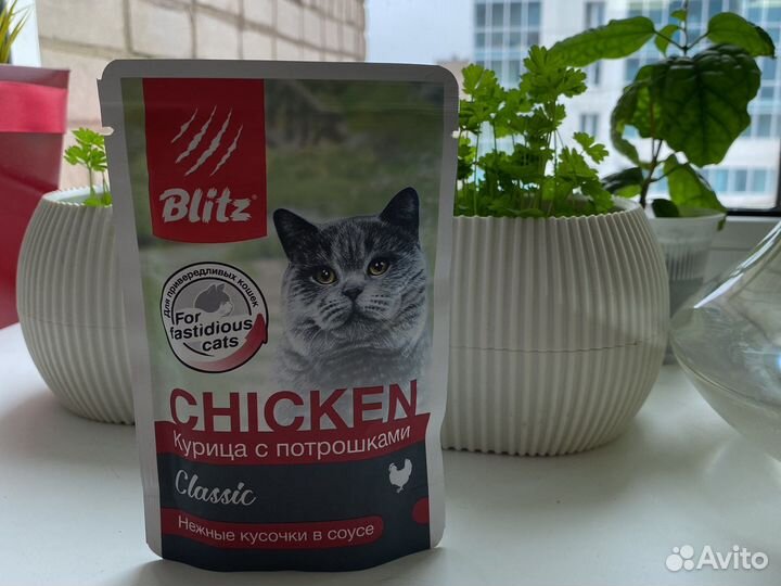 Корм для кошек блитц