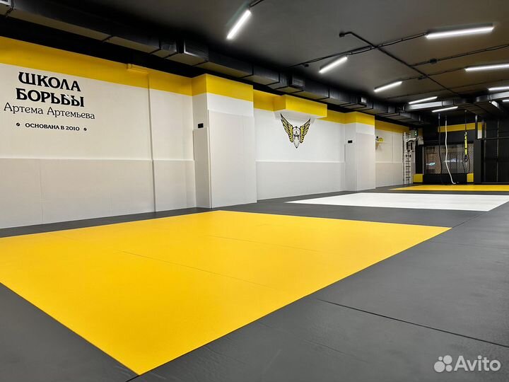 Мат гимнастический 2х1х0.1м нпэ