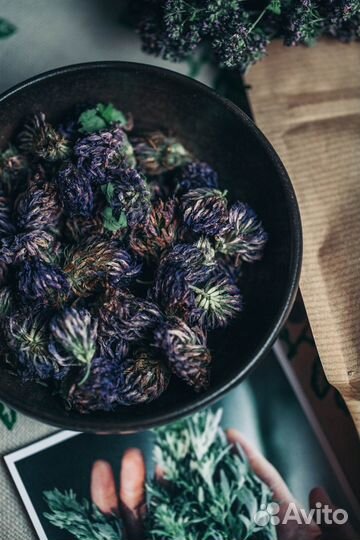 Чайные травы