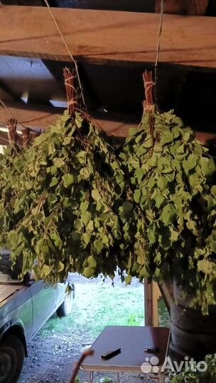 Березовые веники