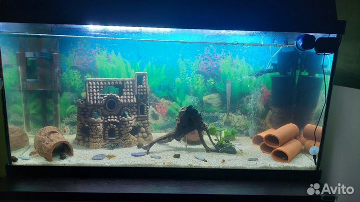 Аквариум 100л
