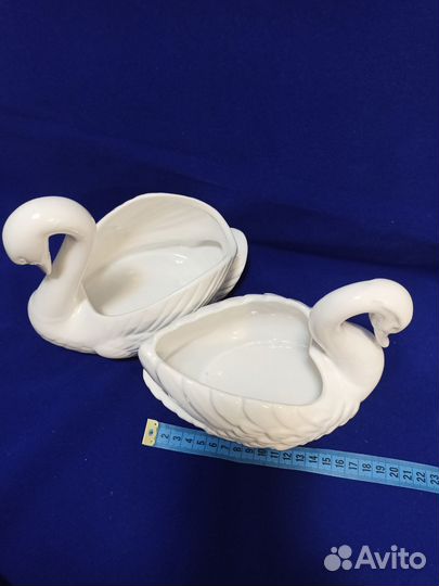 Белый лебедь