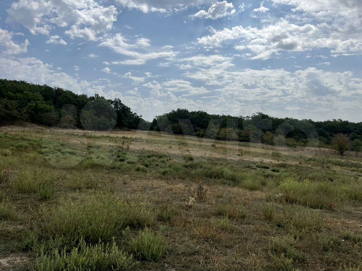 Участок 41 сот. (СНТ, ДНП)