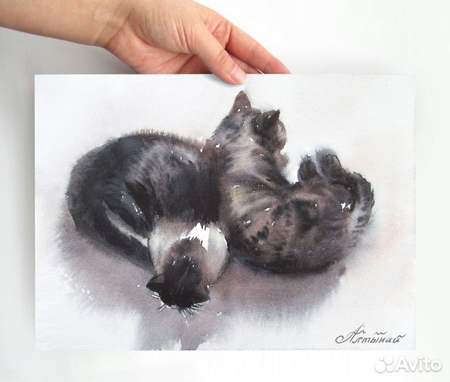Картина акварелью. Спящая пара кота и кошки