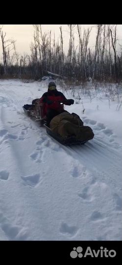 Snowdog standart 500