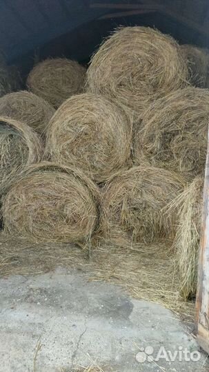 Продам сено