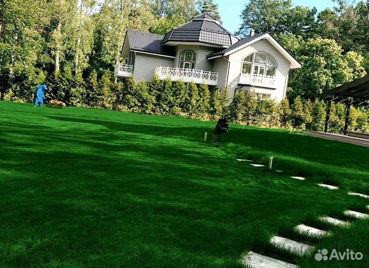 Рулонный газон 