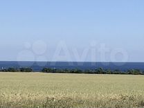 поле сельхозназначения. земля с х назначения в аренду. фото земельных участков сельхозназначения астраханская область. деревня волово шатурский район московская область. обработка земли.