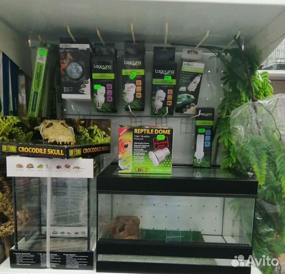 Террариум для рептилий и все необходимое