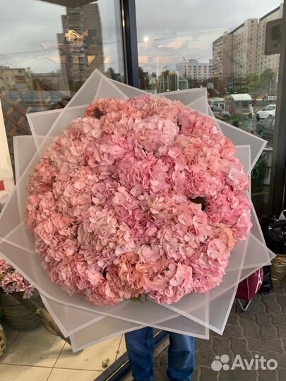 Букет из Голландских гортензий 35шт