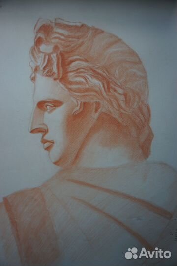 Репетитор по академическому рисунку