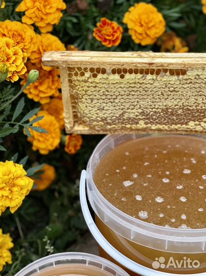Сотовый мед / Мёд в сотах / Мед в рамке