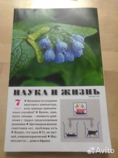 Журнал наука И жизнь 2021