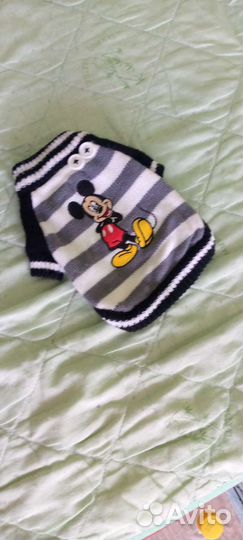 Одежда для маленьких собак