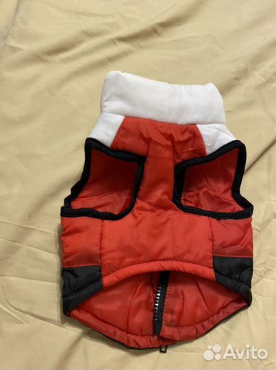 Одежда для маленьких собак