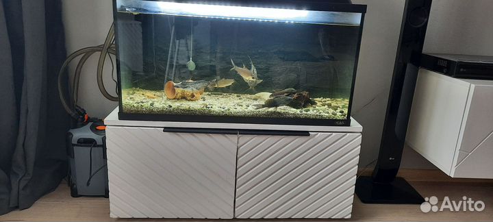 Аквариум с рыбками
