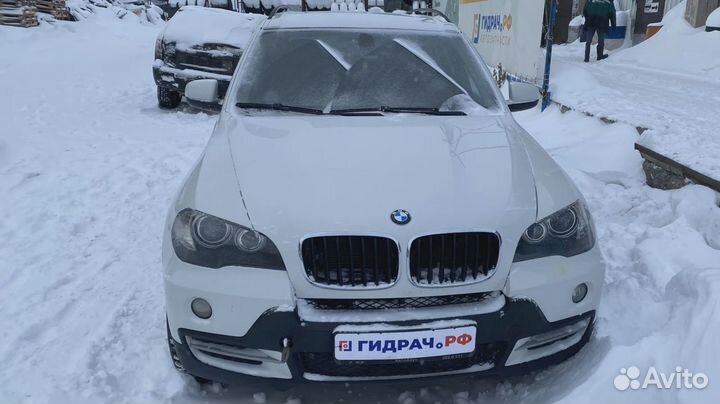 Плафон салонный BMW X5 (E70) 61319178145