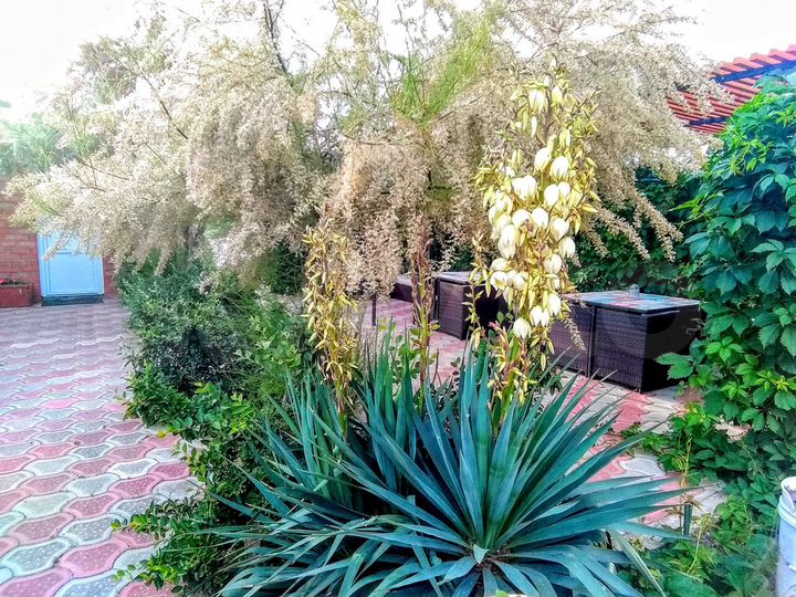 Дом 36 м² на участке 14 сот.