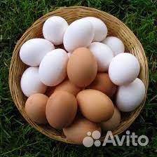 Вахта Москва Упаковщик яичек еда+жилье