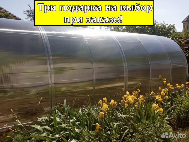 Теплица
