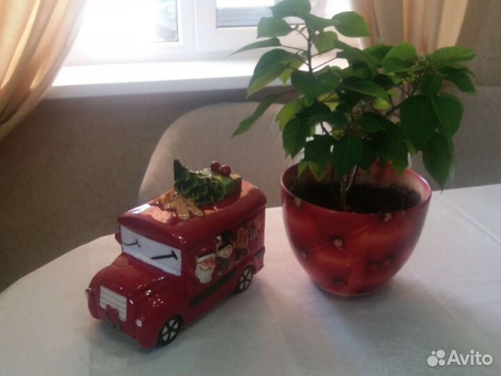 Автомобиль ваза и пуатенсия