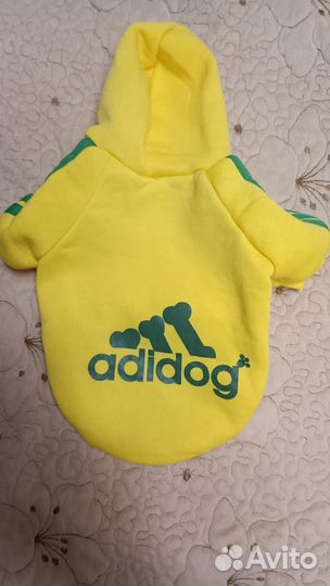 Костюм для собаки (ветровка)