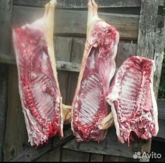 Мясо свинина домашняя сало соленое
