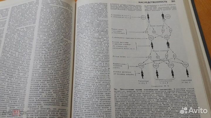 Популярная Медицинская Энциклопедия Петровский 198