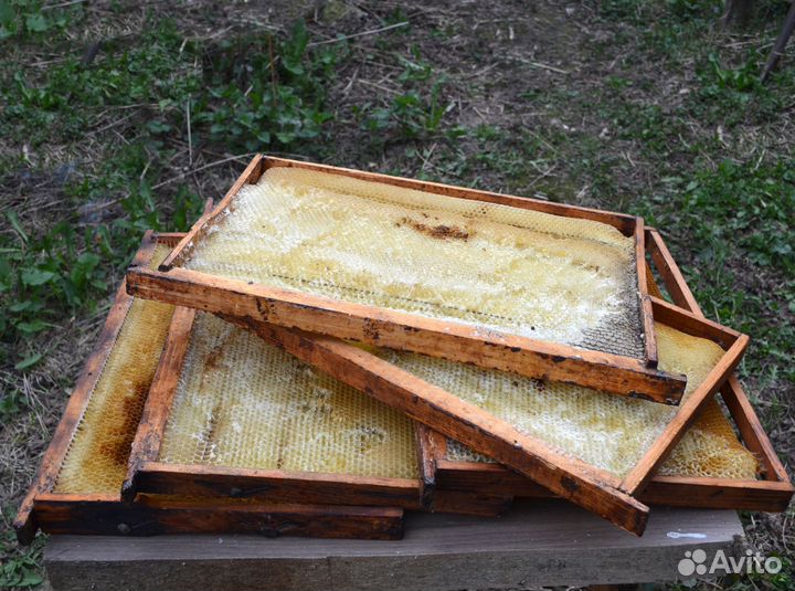 Сушь для пчел. Дадан