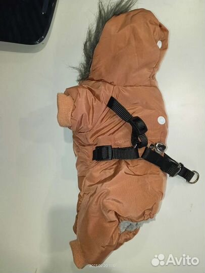 Зимний комбинезон для маленьких собак xs