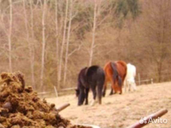 Навоз перегной конский