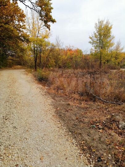 Участок 5,1 сот. (СНТ, ДНП)