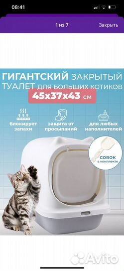 Закрытый туалет для кошек